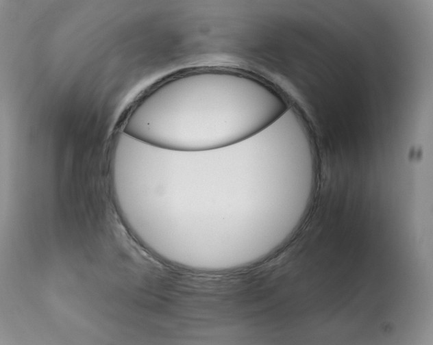X0000112051364200909150953