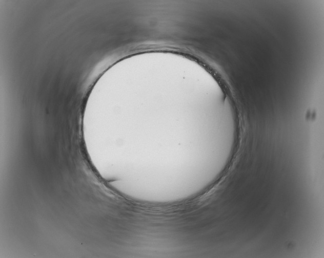 X0000112051365200909150953