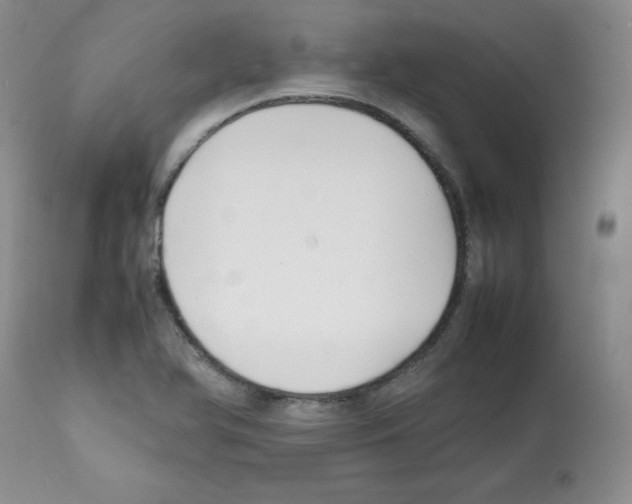 X0000112051366200909150953