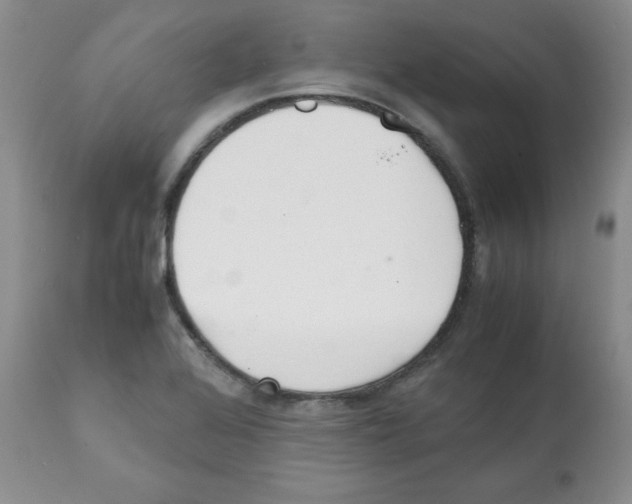 X0000112051368200909150953