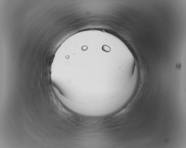 X0000112051369200909150953