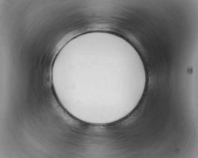 X0000112051370200909150953