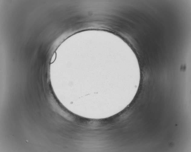 X0000112051371200909150953