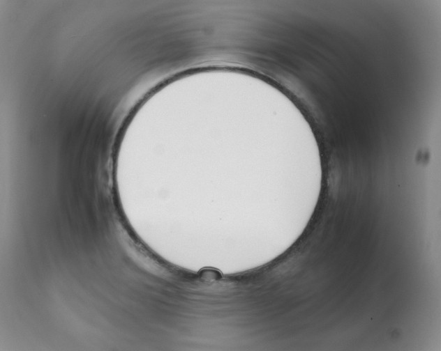 X0000112051372200909150953