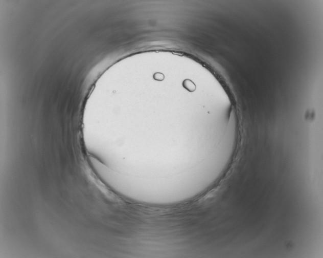 X0000112051373200909150952
