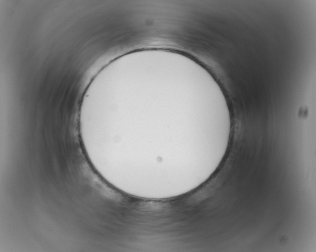 X0000112051374200909150952