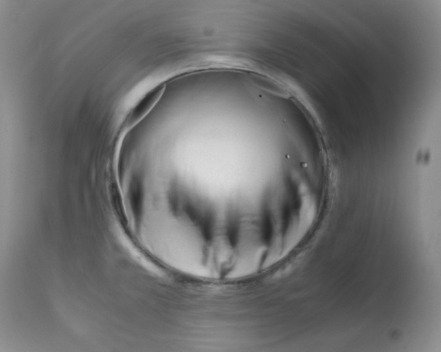 X0000112051381200909150952