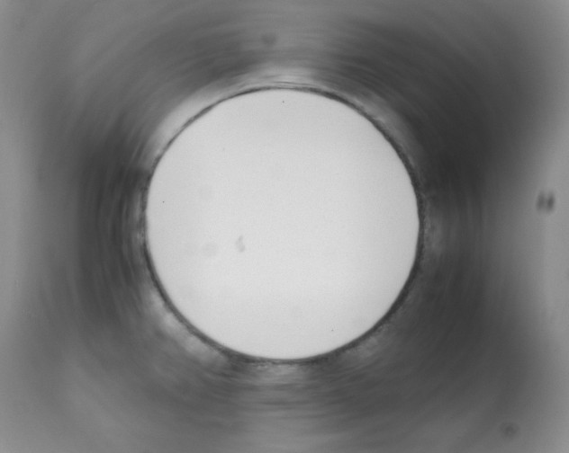 X0000112051382200909150952
