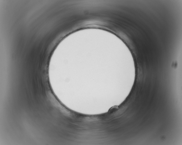 X0000112051384200909150952