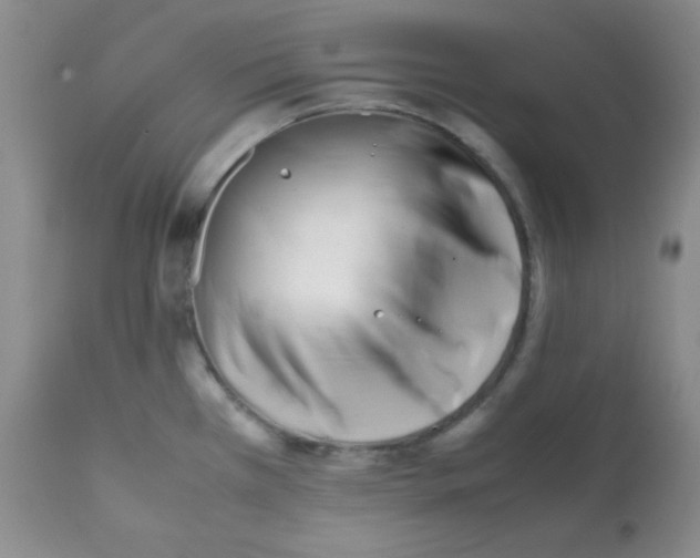 X0000112051385200909150952