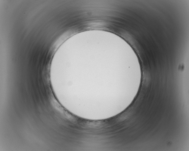 X0000112051386200909150952