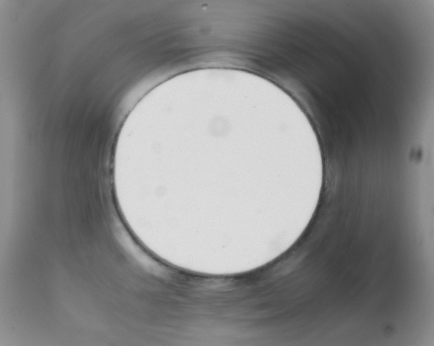 X0000112051387200909150952