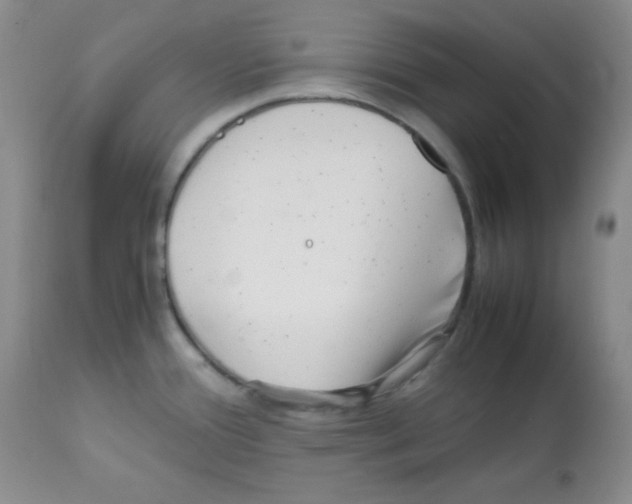 X0000112051388200909150952