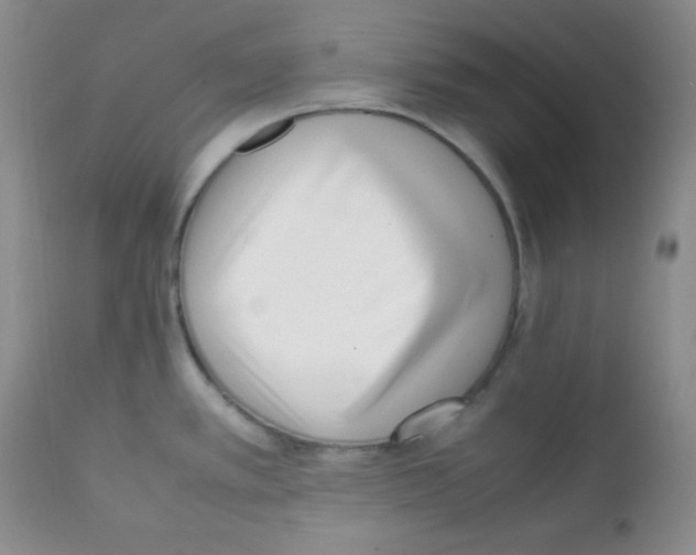 X0000112051389200909150952