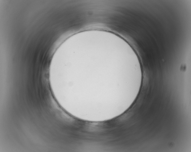X0000112051390200909150952