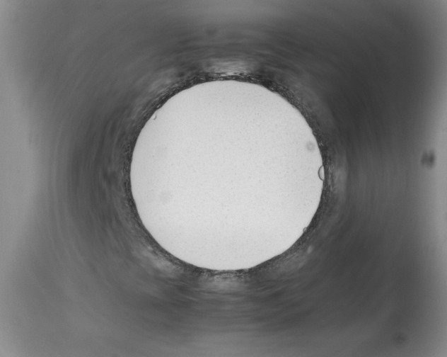 X0000112051393200909150952