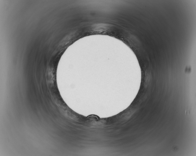 X0000112051394200909150952