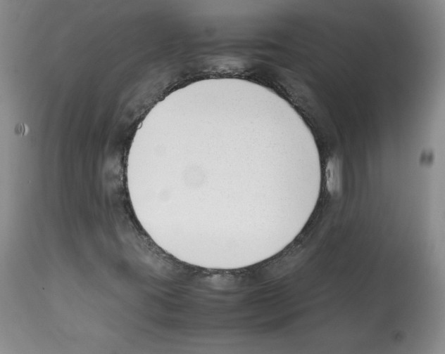 X0000112051395200909150952
