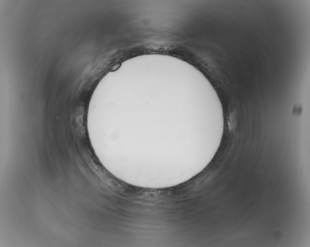 X0000112051396200909150952