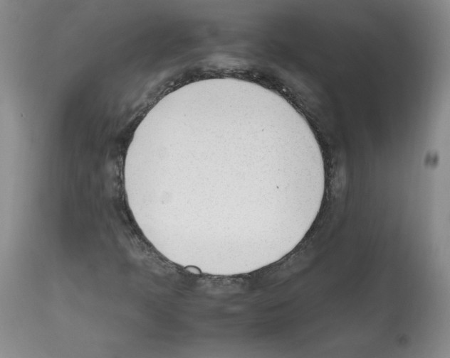 X0000112051397200909150952