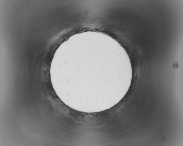 X0000112051398200909150952