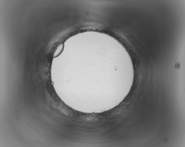 X0000112051399200909150952