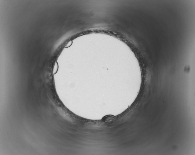 X0000112051400200909150952