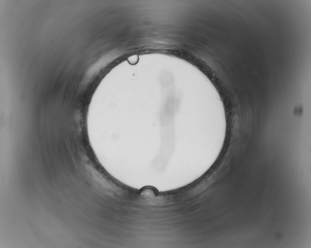 X0000112051402200909150952