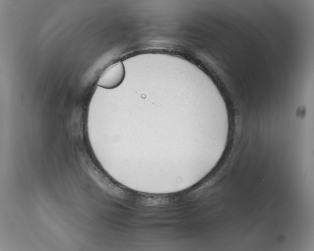 X0000112051403200909150952