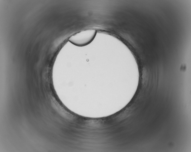 X0000112051404200909150952