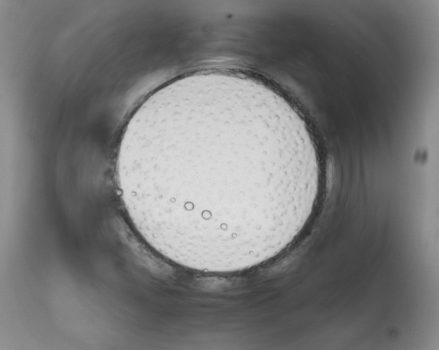 X0000112051405200909150952