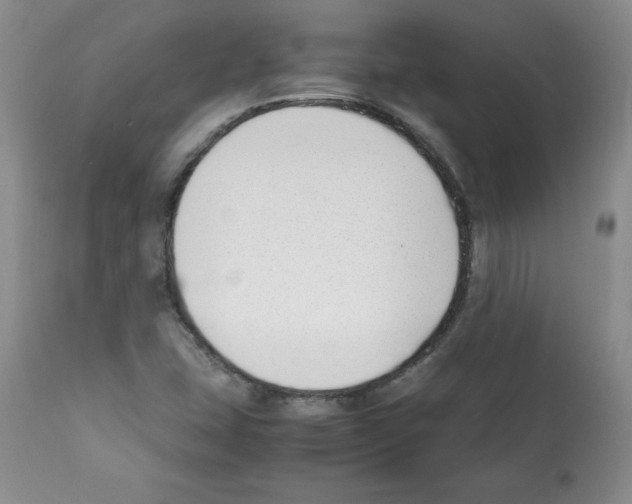 X0000112051407200909150952