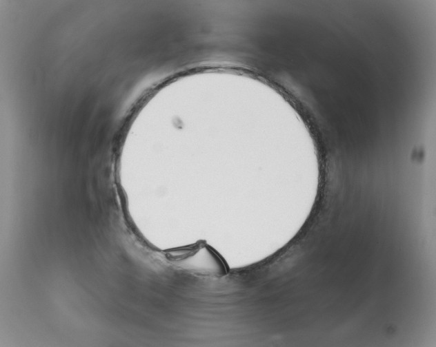 X0000112051408200909150952