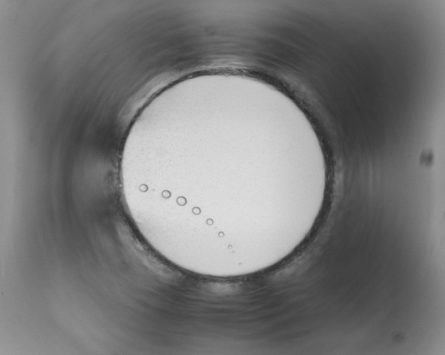 X0000112051409200909150952