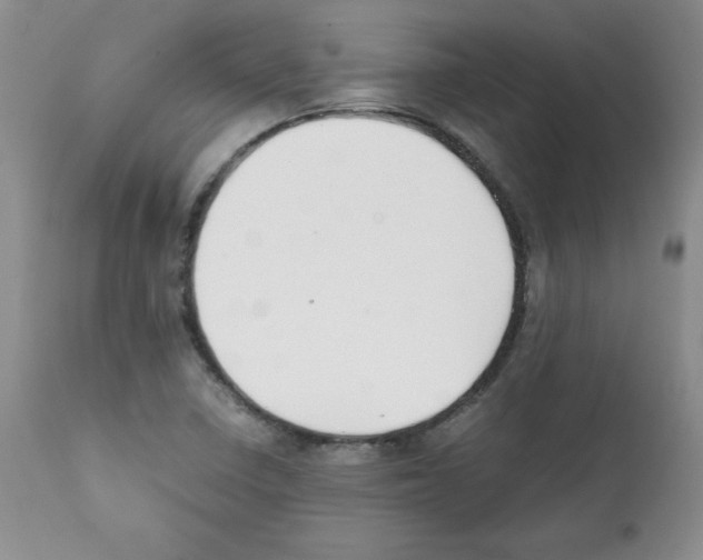 X0000112051410200909150952