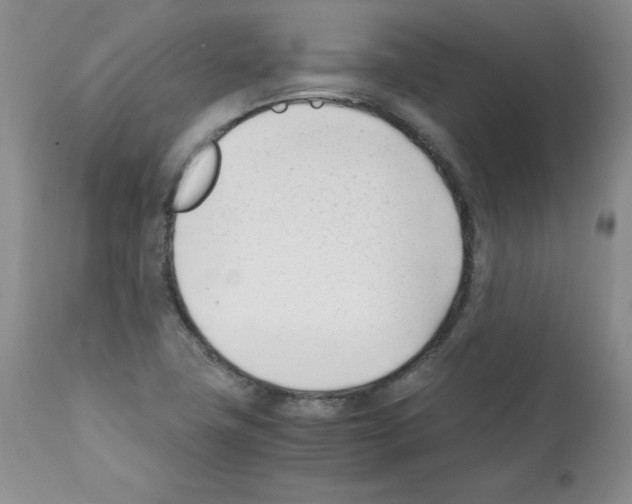 X0000112051411200909150952