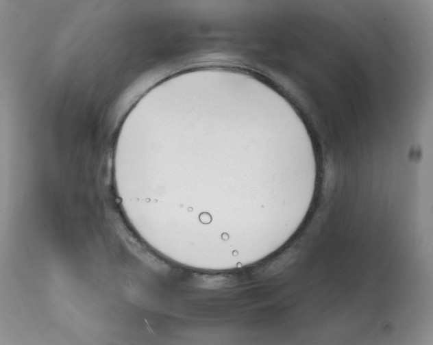 X0000112051413200909150952