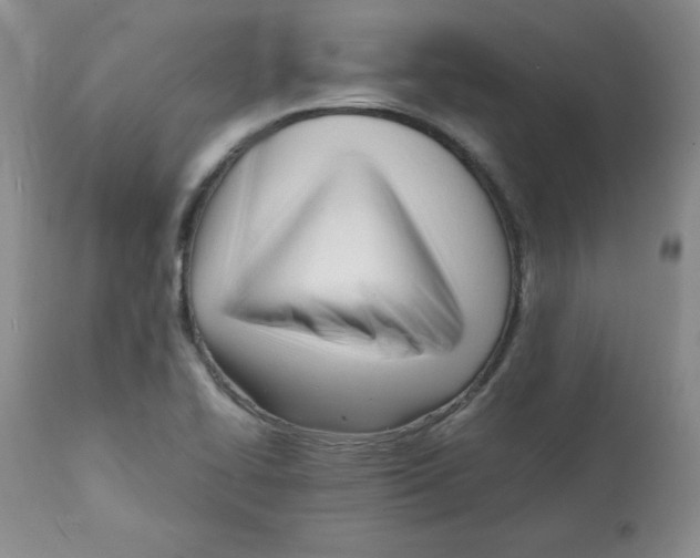 X0000112051414200909150952