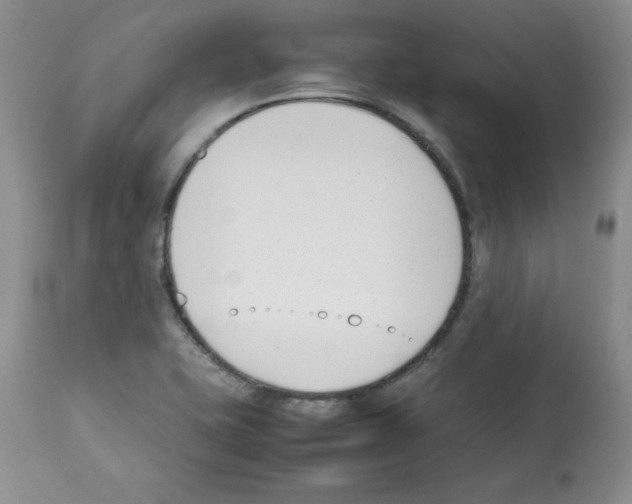 X0000112051415200909150952