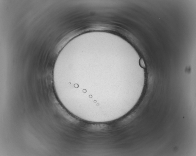 X0000112051417200909150952