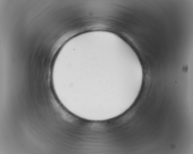 X0000112051418200909150952