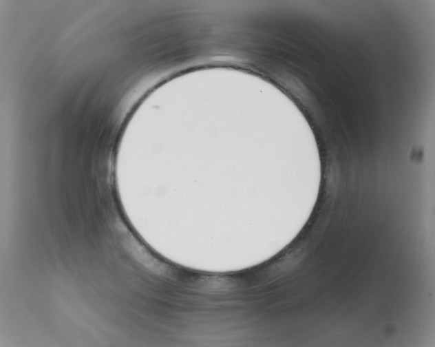 X0000112051420200909150952