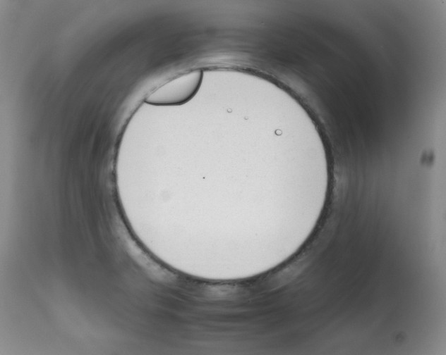 X0000112051421200909150952