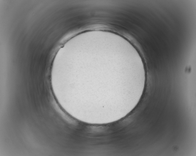 X0000112051429200909150952