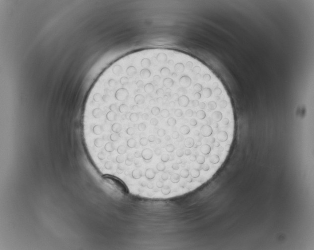 X0000112051432200909150952