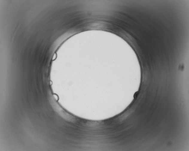 X0000112051434200909150952