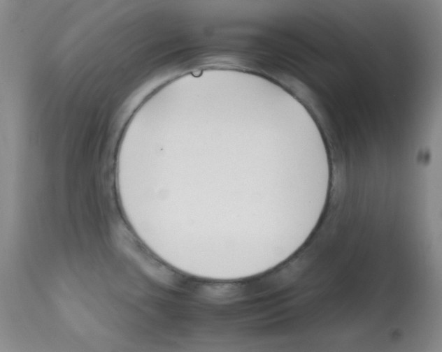 X0000112051435200909150952