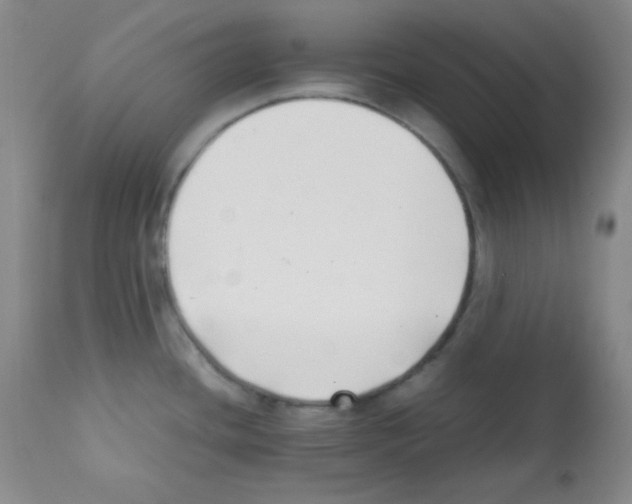 X0000112051436200909150952