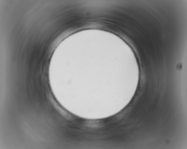 X0000112051437200909150952