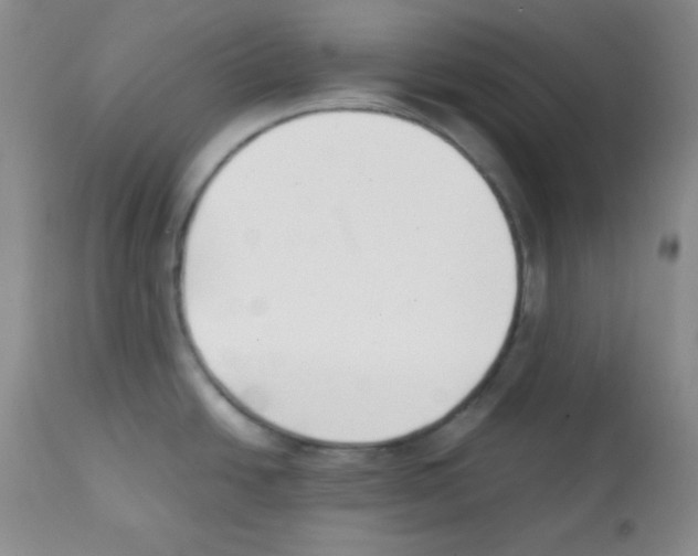 X0000112051438200909150952